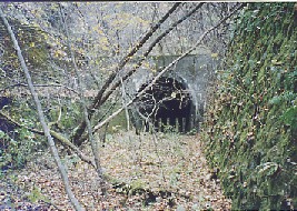 鳥居トンネル付近