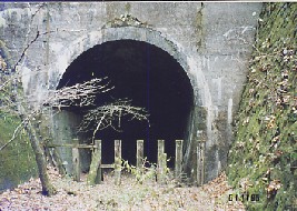 鳥居トンネル(薮原側)