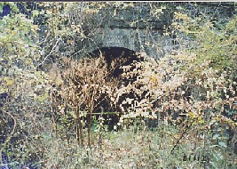鳥居トンネル(奈良井側)