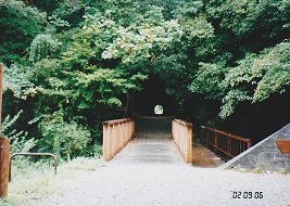第5橋梁を渡る廃線跡