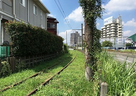 一直線に伸びる廃線