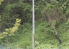 トンネル画像