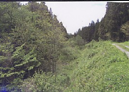 廃線画像