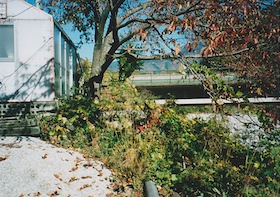 滑川にある橋台跡 滑川にある橋台跡