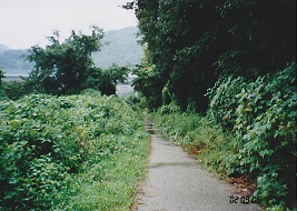 真っ直ぐのびている廃線跡