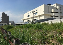 カーブを描く廃線