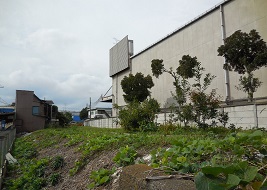 草生した線路跡2 草生した線路跡2
