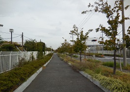 遊歩道になった廃線 遊歩道になった廃線