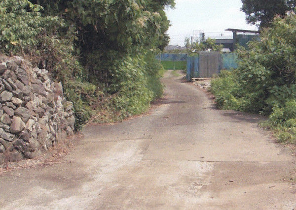 分岐点を見る 分岐点を見る