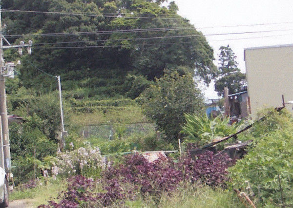 連絡線の跡 連絡線の跡