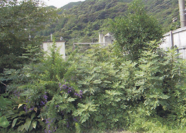 新幹線との合流地点 新幹線との合流地点