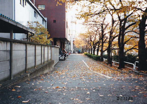 石崎川沿いの廃線
